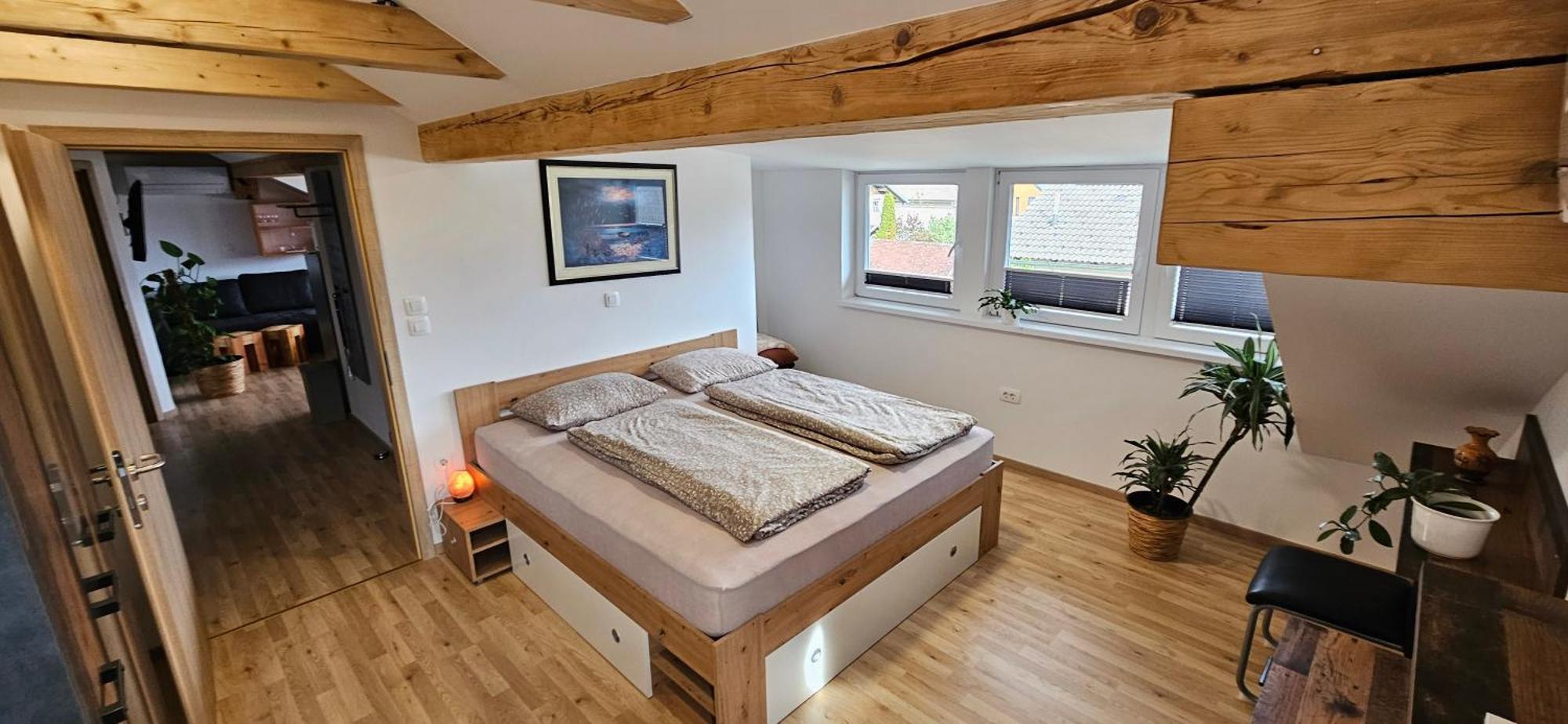 Apartma Ajja Шенчур Экстерьер фото